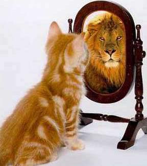 程序员成长历程的四个阶段