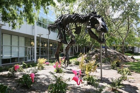 Google有一只霸王龙宠物。