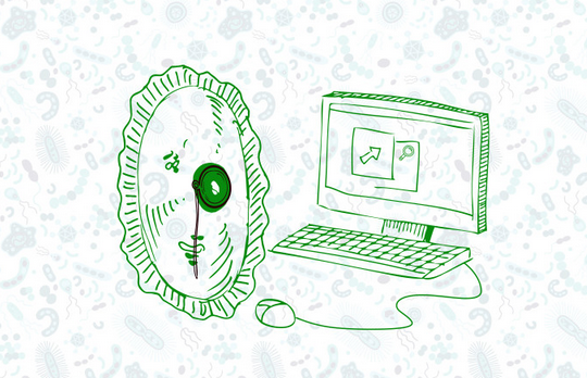 黑帽SEO 网站优化 搜索引擎排名 谷歌搜索引擎